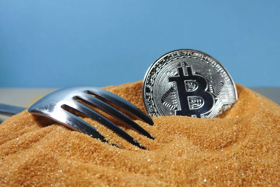 Che cos'è il Bitcoin Forks?