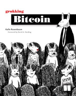 Grokking Bitcoin by Kalle Rosenbaum​