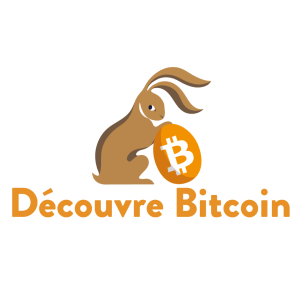 Decouvre Bitcoin - Blog by Bringin