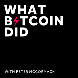 What Bitcoin Did - Blog by Bringini